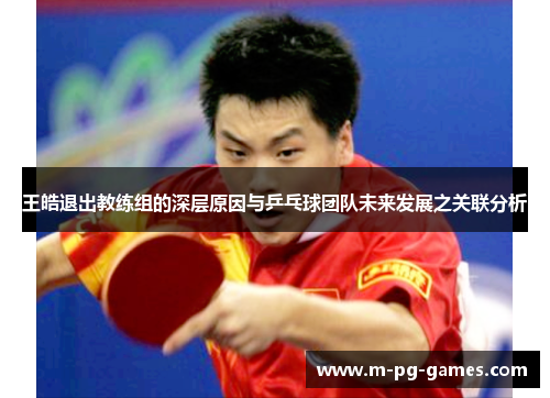 王皓退出教练组的深层原因与乒乓球团队未来发展之关联分析