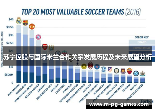 苏宁控股与国际米兰合作关系发展历程及未来展望分析 苏宁控股与国际米兰合作关系发展历程及未来展望分析